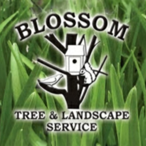 Blossom Tree & Landscape Service