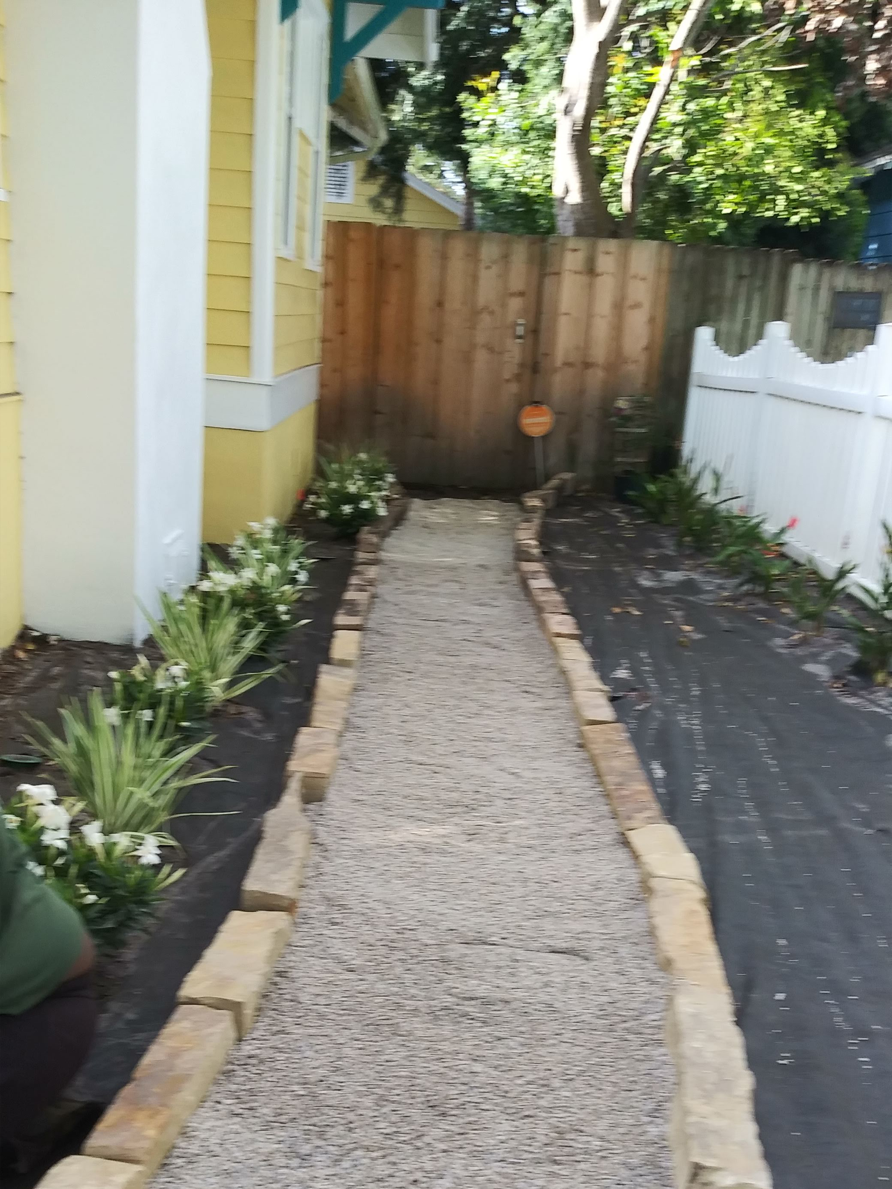 A Serene Garden Featuring Various Plants and Decorative Rocks